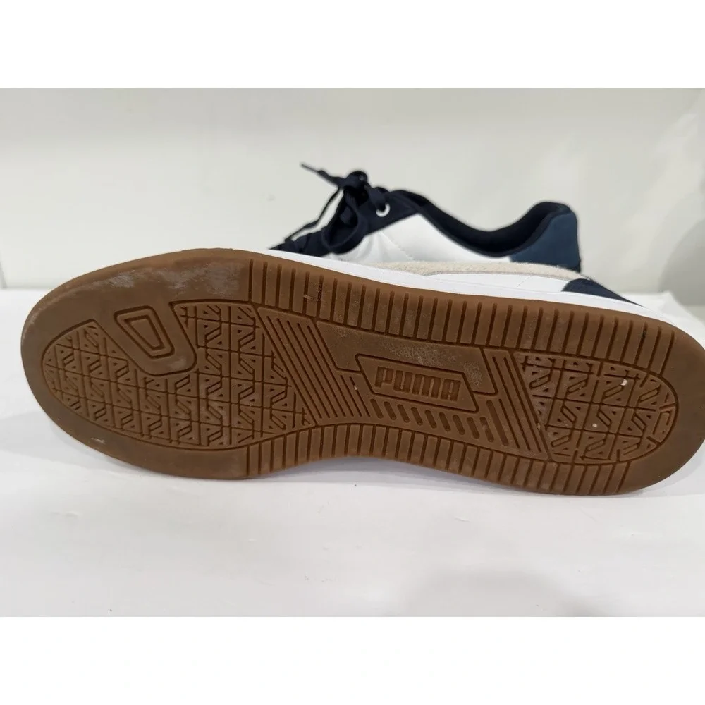 Puma caven year